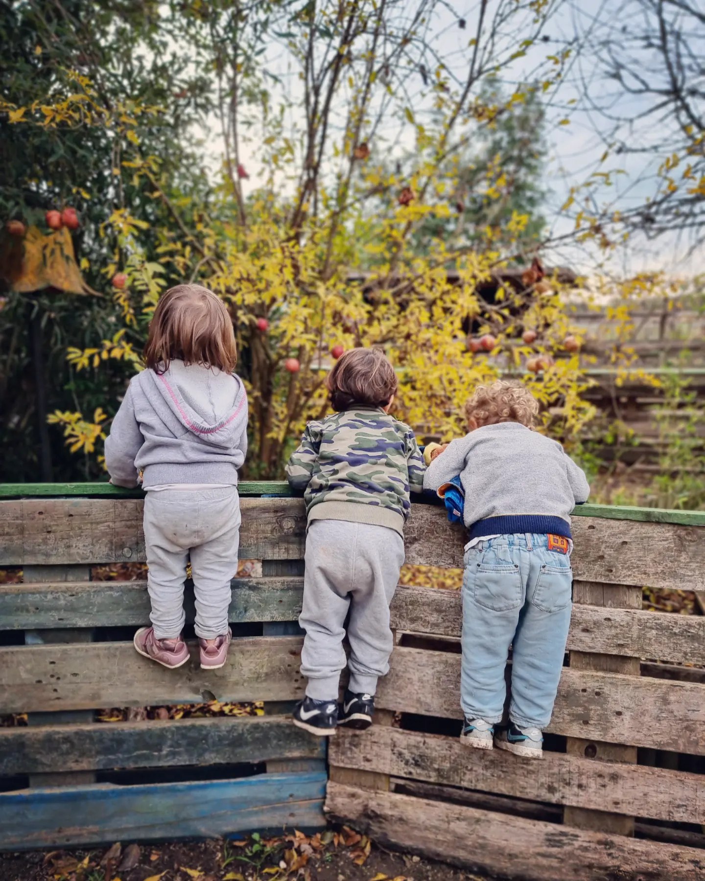 Tre bambini affacciati su una staccionata in autunno
